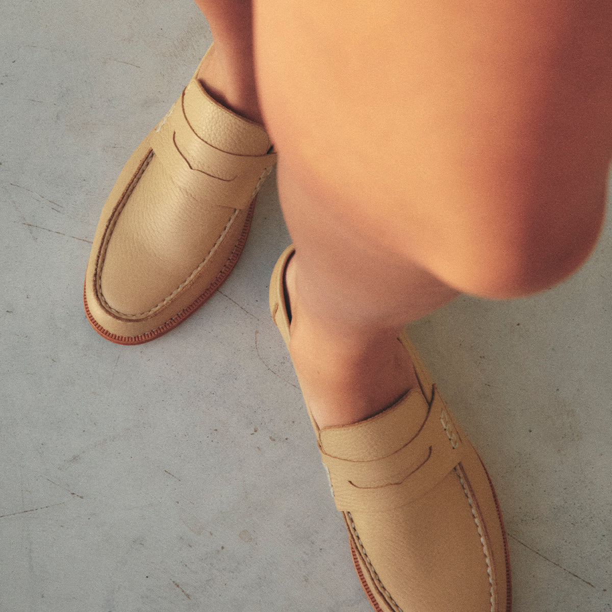 CIRO CAMEL